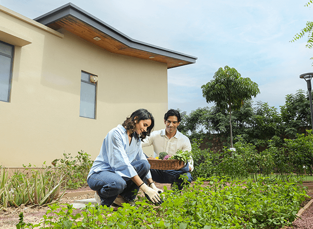 From Your Farm to Your Table 